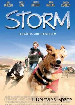 Шторм (2009)