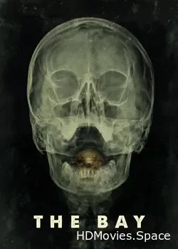 Залив (2012)