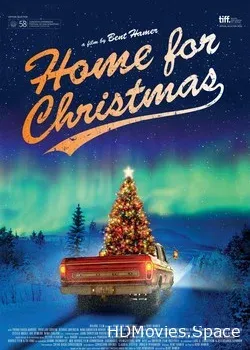 Домой на Рождество (2010)