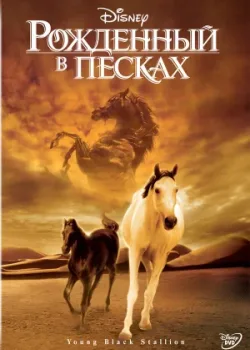 Рожденный в песках 2003