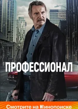 Профессионал 2024