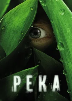 Река 2012