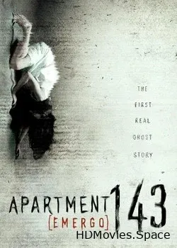 Квартира 143 (2011)