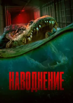 Наводнение 2023