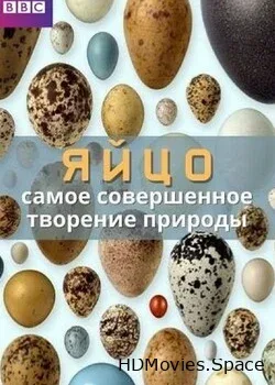 BBC. Яйцо: самое совершенное творение природы (2018)