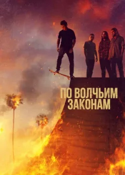 По волчьим законам 2016
