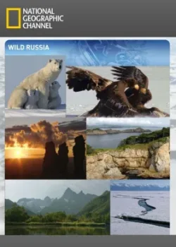 Дикая природа России 2008