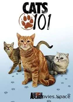 Энциклопедия кошек (2008)