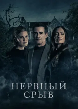 Нервный срыв 2024