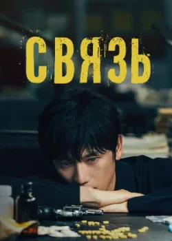 Связь 2024