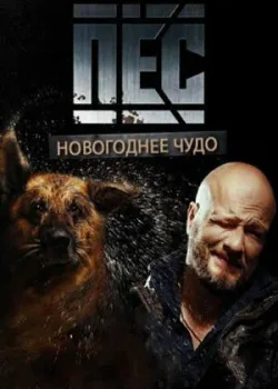 Пёс. Новогоднее чудо 2018