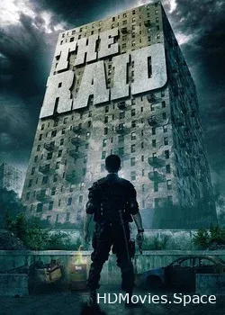 Рейд (2011)