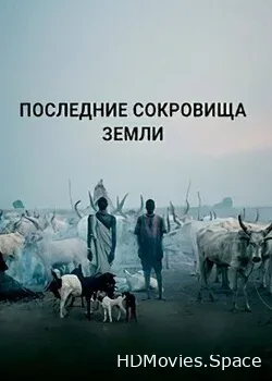 Последние сокровища Земли (2019)