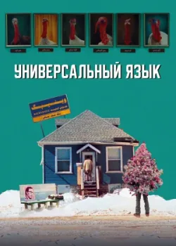 Универсальный язык 2024