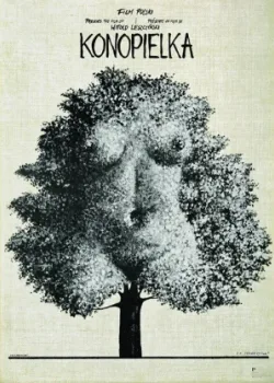 Коноплянка 1981