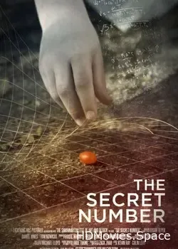 Тайное число (2012)