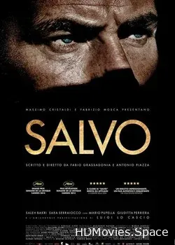 Сальво (2013)