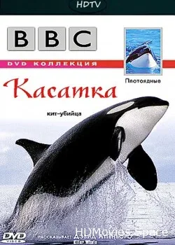 BBC: Плотоядные. Касатка (2004)