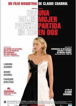Одна девушка на двоих (2007)