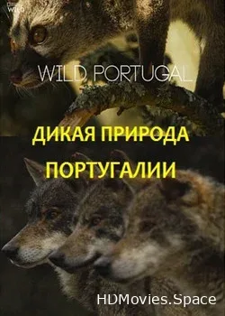 Дикая природа Португалии (2019)