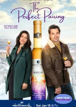 Идеальное сочетание (2022)