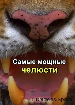 Самые мощные челюсти (2021)