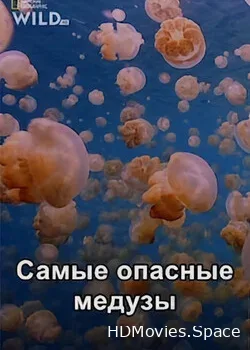 Самые опасные медузы (2020)