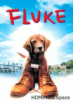Флюк (1995)