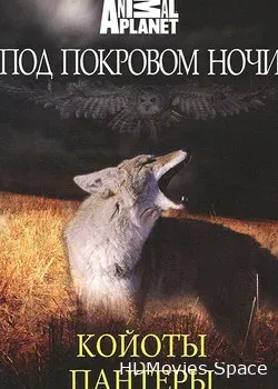 Под покровом ночи  (2009)
