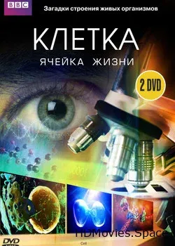 BBC: Клетка (2009)