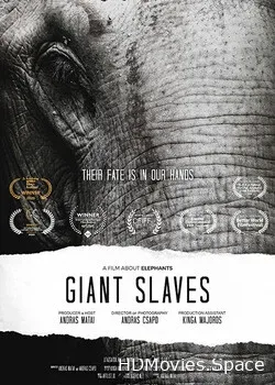 Порабощенные гиганты. Фильм о слонах (2020)