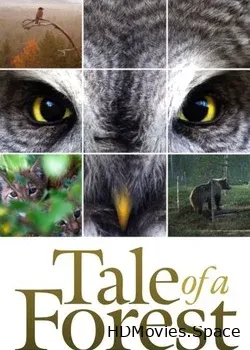 Чудесный лес (2012)