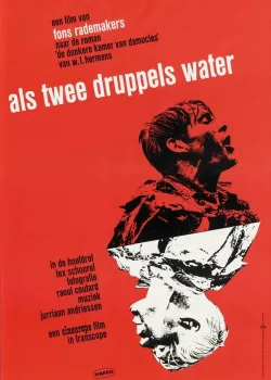 Как две капли воды (1963)
