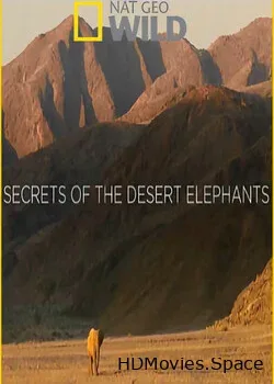 Nat Geo Wild: Хоаниб - секреты слонов пустыни (2013)