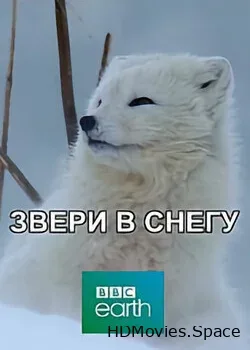 BBC: Звери в снегу (2019)