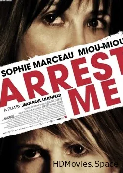 Арестуйте меня (2013)