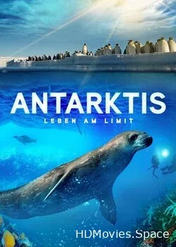 Антарктика. Живущие на грани (2016)