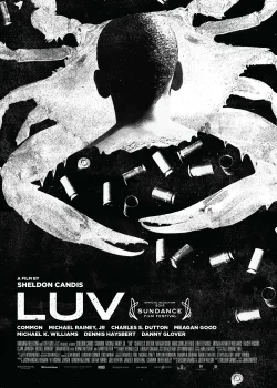 Урок от дяди Винсента (2012)