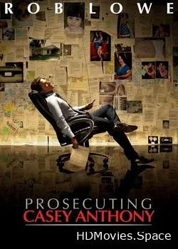 Судебное обвинение Кейси Энтони  (2013)