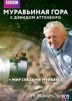 Муравьиная гора с Дэвидом Аттенборо (2017)