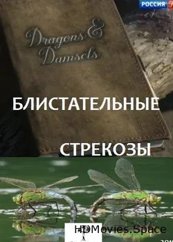 Блистательные стрекозы (2019)