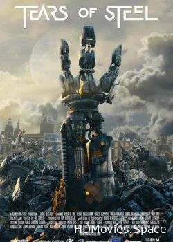 Слезы стали (2012)