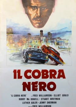 Черная кобра (1987)