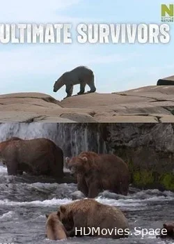 Как выживают медведи (2019)