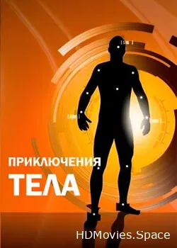 Приключения тела (2012)