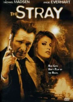 Бродяга (2000)