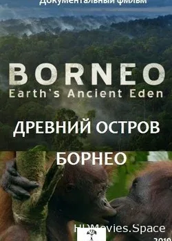 Древний остров Борнео (2019)