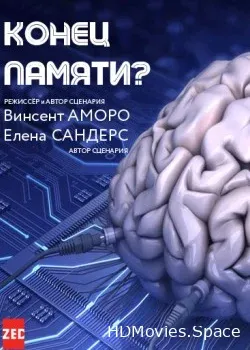 Конец памяти? (2014)