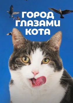 Город глазами кота 2018