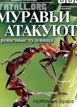 BBC. Живая природа  (2006)